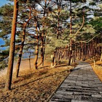 Saulkrasti 211125 :: Arturs Ancans