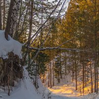 Мороз и солнце :: Владимир Кириченко