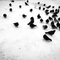 Фотография :: Денис Безногов