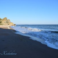 Природа Крыма :: Amazing Cosmea