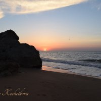 Природа Крыма :: Amazing Cosmea