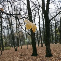 *** :: Валентина Береснева