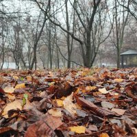 ,,, :: Сергей Тимоновский