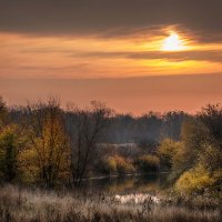 Осень :: Ирина 