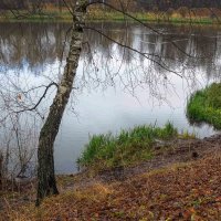 Осенний Сюжет :: юрий поляков