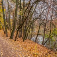 Октябрь в Царицыно... :: Владимир Жданов