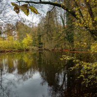 *** :: Николай Гирш