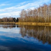 Природа в ноябре. :: Милешкин Владимир Алексеевич 