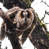 "Кто ты?" :: Владимир Безбородов