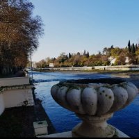 Река Сочи :: Tata Wolf