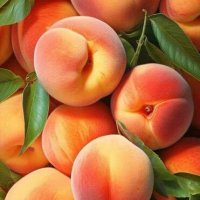 УРОЖАЙ  2025-го ! :: Валерий Кокорев