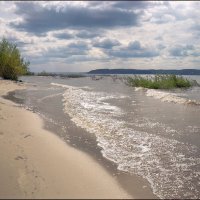 Волга :: **** vedin