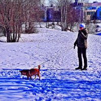 На дворе то ли ноябрь, то ли апрель? :: Владимир 