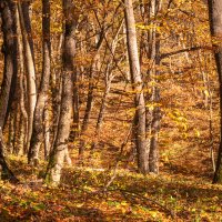 Осень в горах :: Игорь Сикорский Осень в горах :: Игорь Сикорский