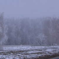 Туманный день октября. :: сергей ермошкин