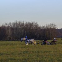 Прокатиться в повозке по Бголюбовскому лугу :: Сергей Цветков