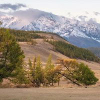 Осенний Алтай :: Марина Фомина.