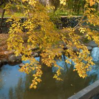 Листопад :: Валентин Семчишин