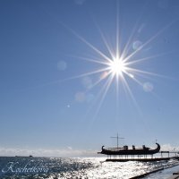 Природа Крыма :: Amazing Cosmea