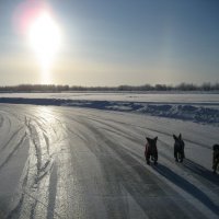 Солнечный столб :: Anna Ivanova Солнечный столб :: Anna Ivanova