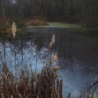 У Тихой Воды :: юрий поляков