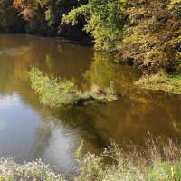 Осенние зарисовки :: Рита Симонова Осенние зарисовки :: Рита Симонова