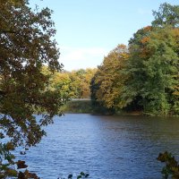 Осенние зарисовки :: Рита Симонова