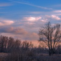 Уходит осень мягко и послушно... Чуть ветренно, чуть нежно, чуть воздушно... :: Наталья Димова