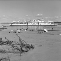 БЕЛЫЙ :: Александр Кустов