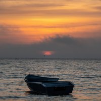 Такое вот утро :: Ирина 