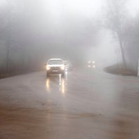 Водитель, будь внимателен и осторожен при езде в густом туиане! :: Андрей Заломленков