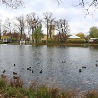 Ольгин пруд :: Ольга 