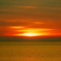 "Золотой час" :: Сергей Алексеевич Митянин