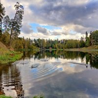 Утки ринулись навстречу. :: Лия ☼