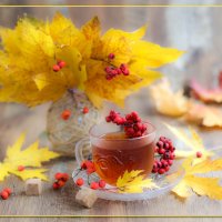 Осенний натюрморт :: Irene Irene