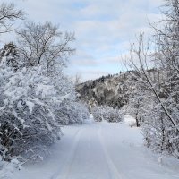 Снежная сказка!!! :: Радмир Арсеньев Снежная сказка!!! :: Радмир Арсеньев