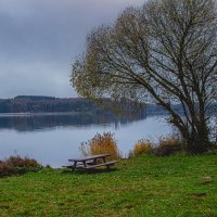 Скамейка на берегу. :: Lucy Schneider 