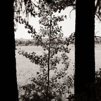 Фотография :: Денис Безногов