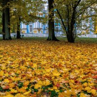 Про Питер :: Владимир Колесников