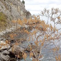 Морской пейзаж :: Татьяна Тюменка