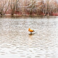 Двое :: Александр 
