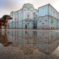 Покровка 23 ноября :: Михаил Бибичков