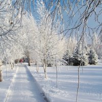 Снежня дорожка :: Nataly St. 