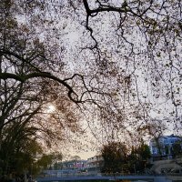 РЕКА СОЧИ :: Tata Wolf