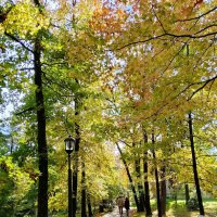 РИВЬЕРА :: Tata Wolf