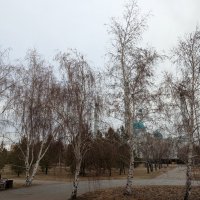 Ноябрь. :: Андрей Хлопонин