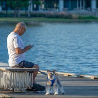 Блокпост :: **** vedin