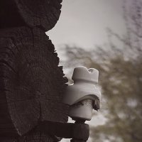 + электрофикация всей страны...... :: Игорь Корф