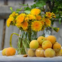 Одуванчики. :: nadyasilyuk Вознюк