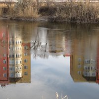 мир отражений :: Елена Шаламова